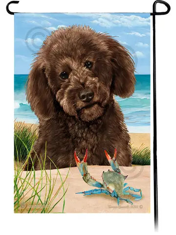 Labradoodle Choco Poodle Cut Summer Beach Garden Flag