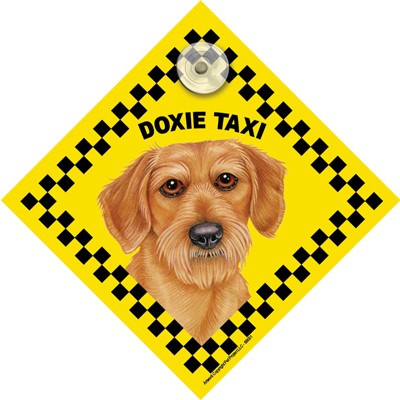 Doxie Taxi Car Sign