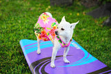 Pink Dog/Cat Hawaiian Aloha Dress