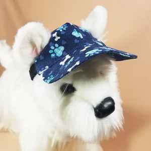 Dog Hat- Blue Paws