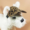 Dog Hat- Cheetah