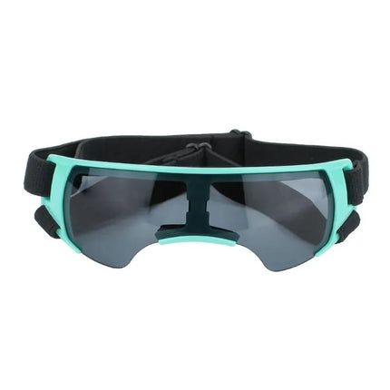 Stylish Pet Goggles