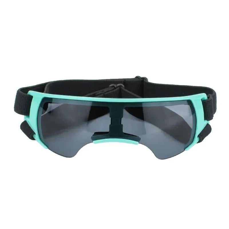 Stylish Pet Goggles