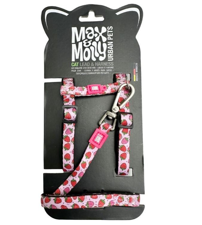 Cat Harness & Leash-Strawberry Dream