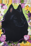 Schipperke Garden Flag (Easter)