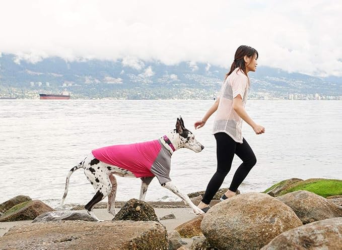 Solis UV Coverup Dog Shirt