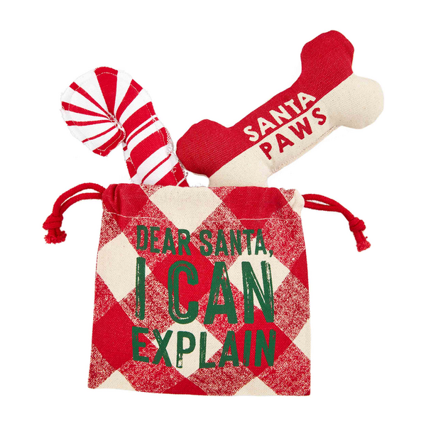 Dear Santa Dog Toy