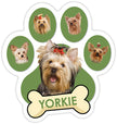 Yorkshire Terrier Paw Car Trunk Magnet