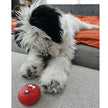 Funny Face Latex Dog Toy