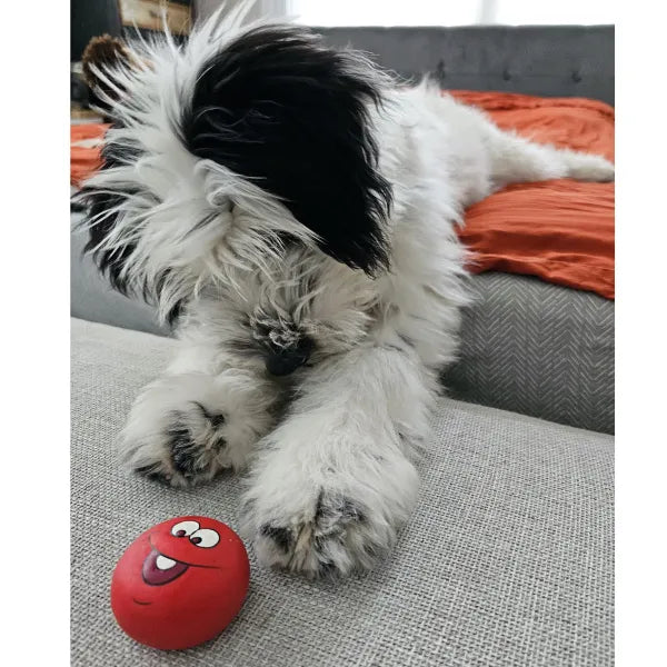 Funny Face Latex Dog Toy