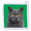 Russian Blue Cat Potholder