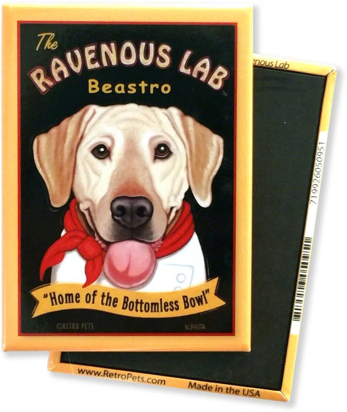 Yellow Labrador 