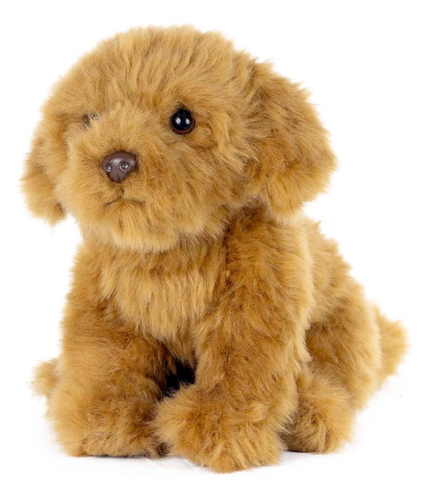 Living Nature Cavapoo