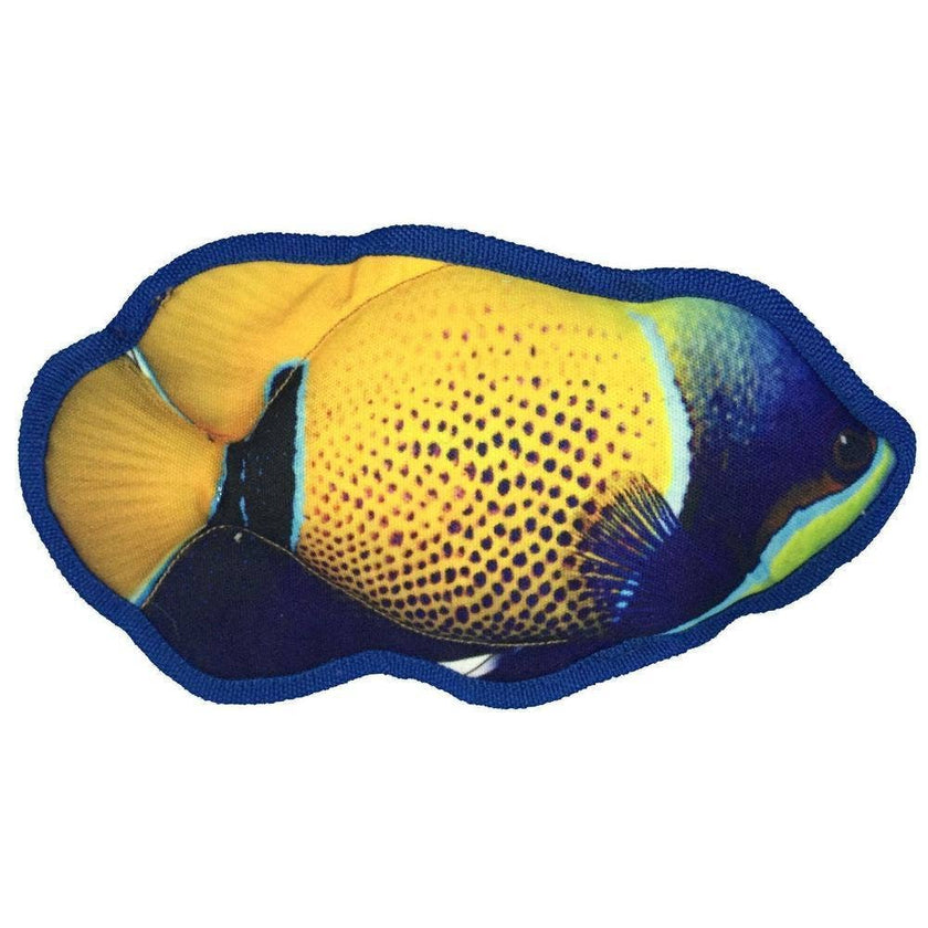 Tropical Damselfish Dog Fish Floating Dog Toy
