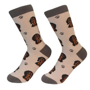 Dachshund Black/Tan Socks