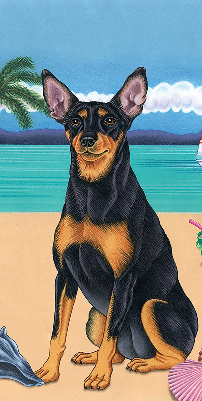 Miniature Pinscher Bath Beach Towel