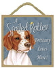Brittany Spaniel Spoiled Rotten Sign