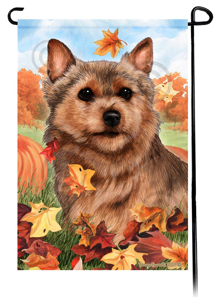 This Norwich Terrier Grizzle Falling Leaves Garden Flag is a testament to the beauty of your favorite breed and the American Flag