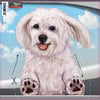 Havanese - White - Dogs On The Move Window Decal