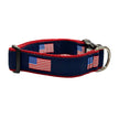 American Flag Side Release Buckle Clip Dog Collar