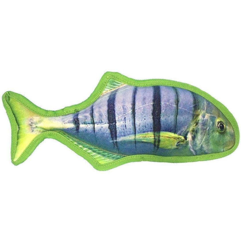 Tropical Sergeant Major Fish Floating Dog Toy