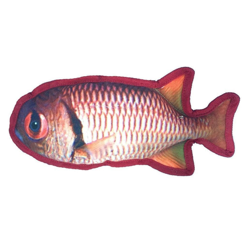 Tropical Snapper Dog Fish Toy
