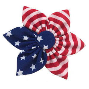 H&K Pinwheel Liberty