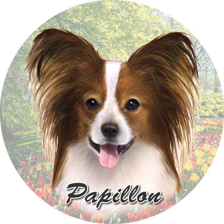 Papillon Car Coaster