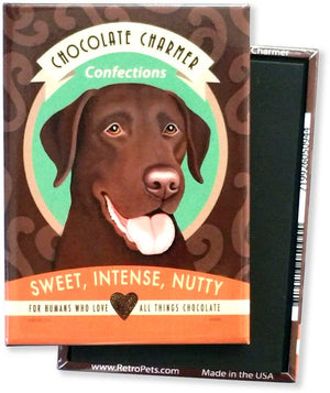 Chocolate Labrador 