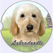 Labradoodle, Cream Car Coaster