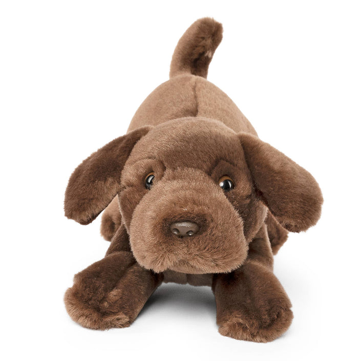 Living Nature Chocolate Lab Playful Pup