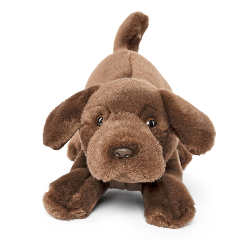 Living Nature Chocolate Lab Playful Pup