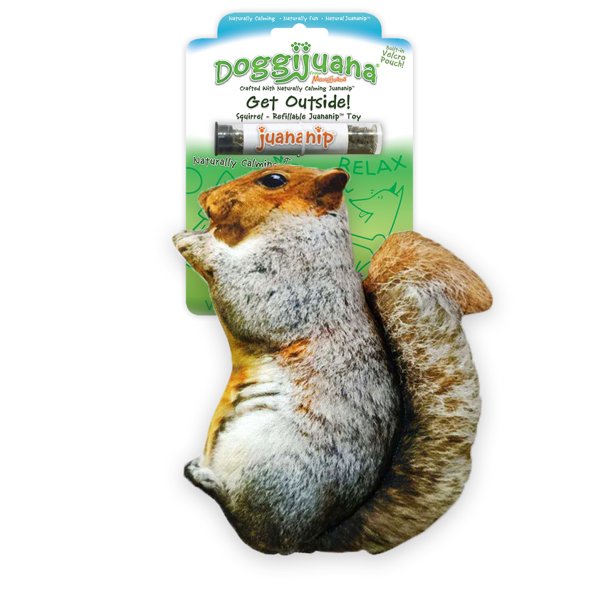 Get Outside Refillable Squirrel Toy