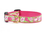 Sealife Dog Collar