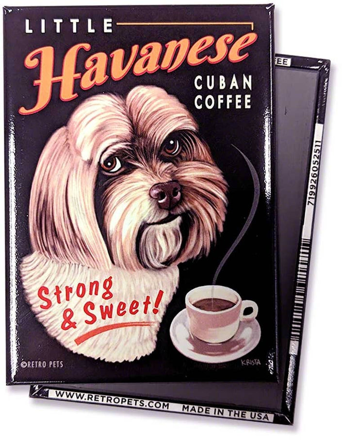 Havanese 