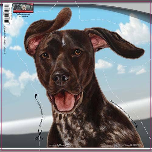 German Shorthair Pointer - Dogs On The Move Window Decal