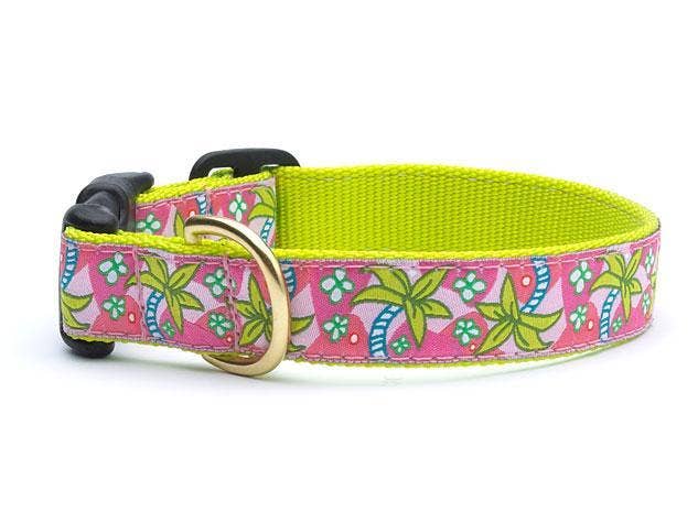 Pink Palms Dog Collar