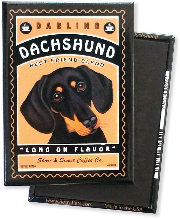 Dachshund 