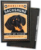 Dachshund 