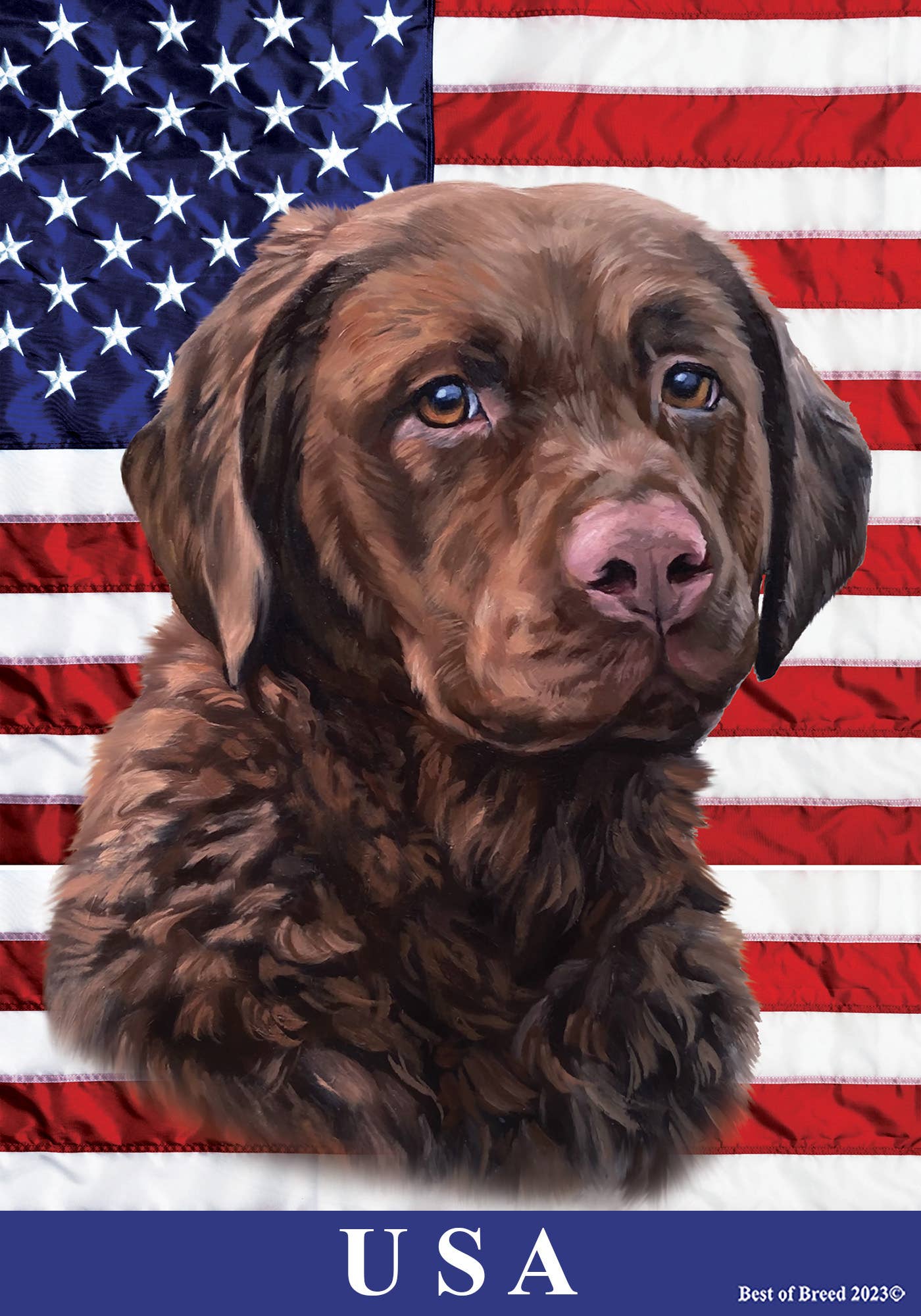 Chesapeake Bay Retriever All-American II House Flag