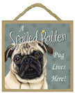 Pug Fawn Spoiled Rotten Sign