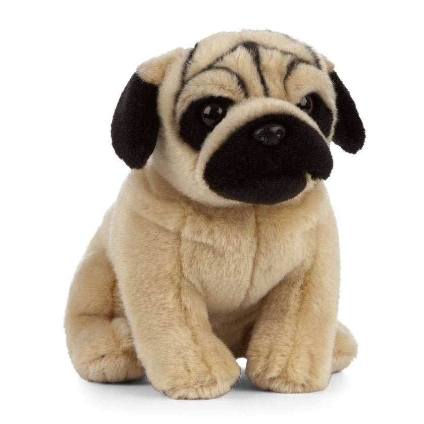 Living Nature Pug