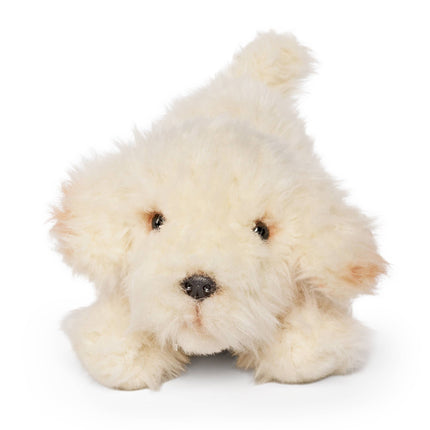 Living Nature Labradoodle Playful Pup