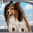 Sheltie - Dogs on the Move Window Decal