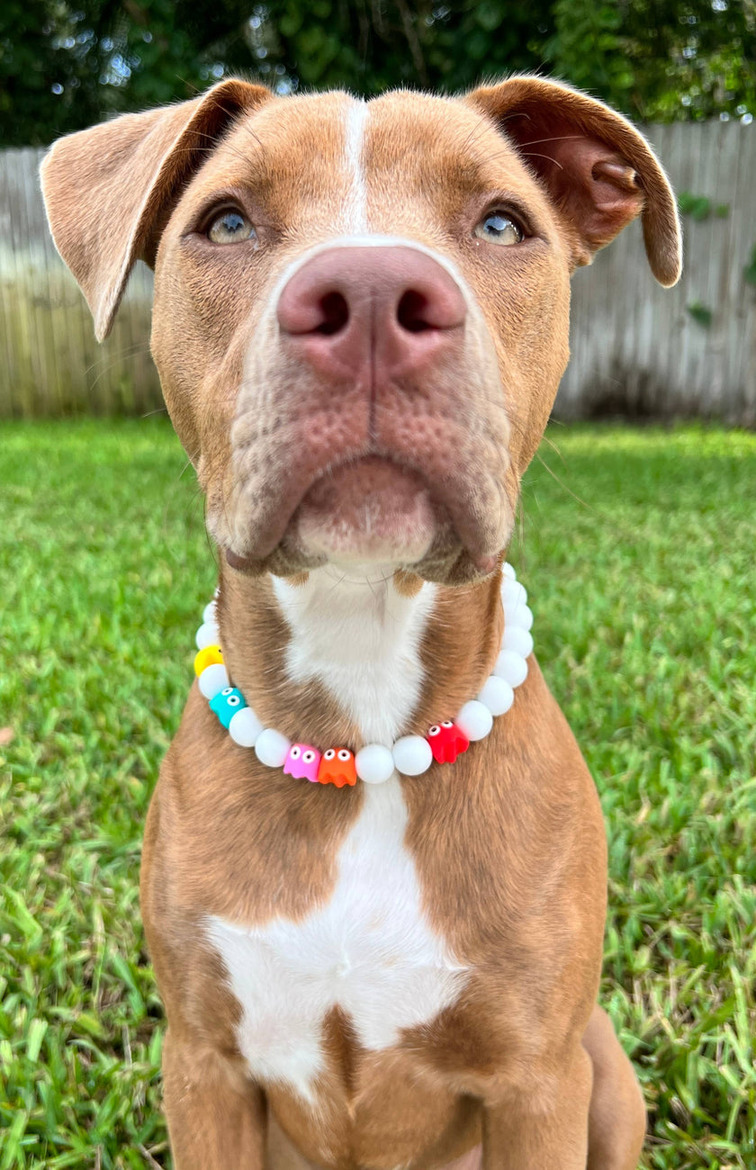 Retro Game| Pet Collar