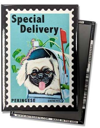 Pekingese 