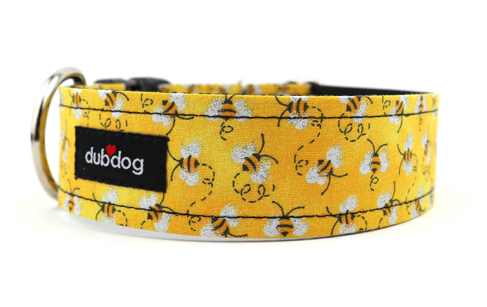 Buzz Dog Collar