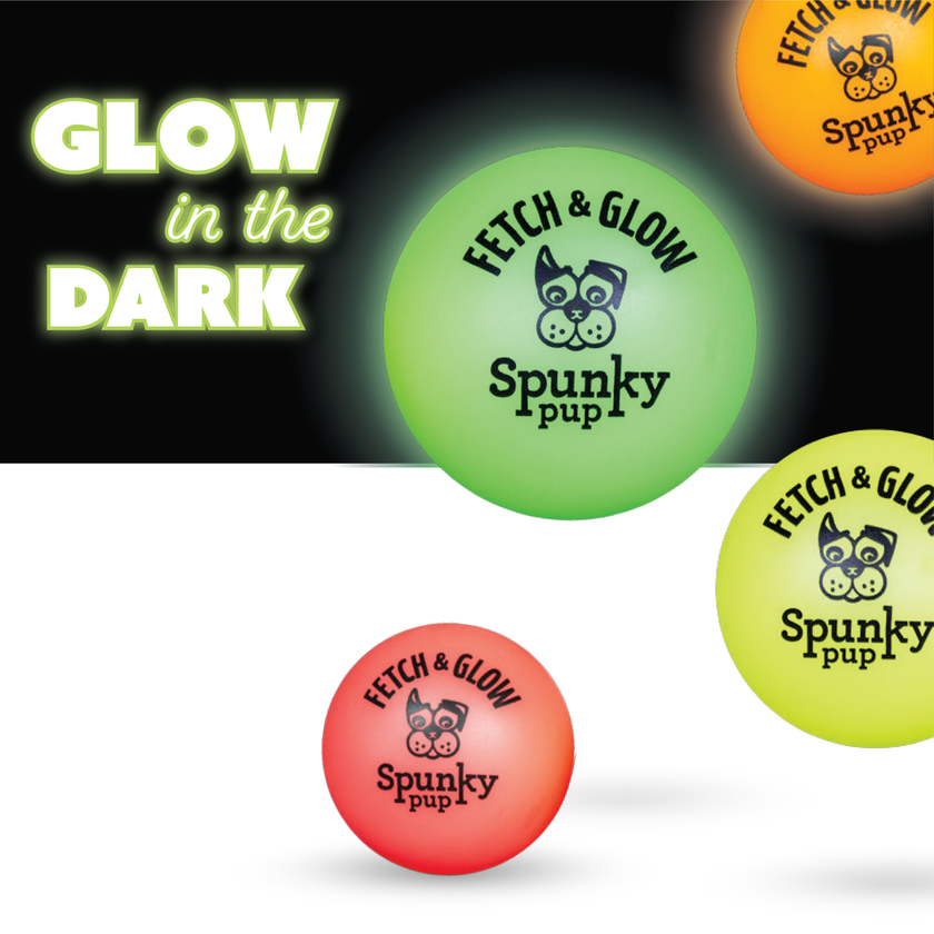 Dog Toy Fetch and Glow Floating Ball