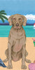 Weimaraner Bath Beach Towel