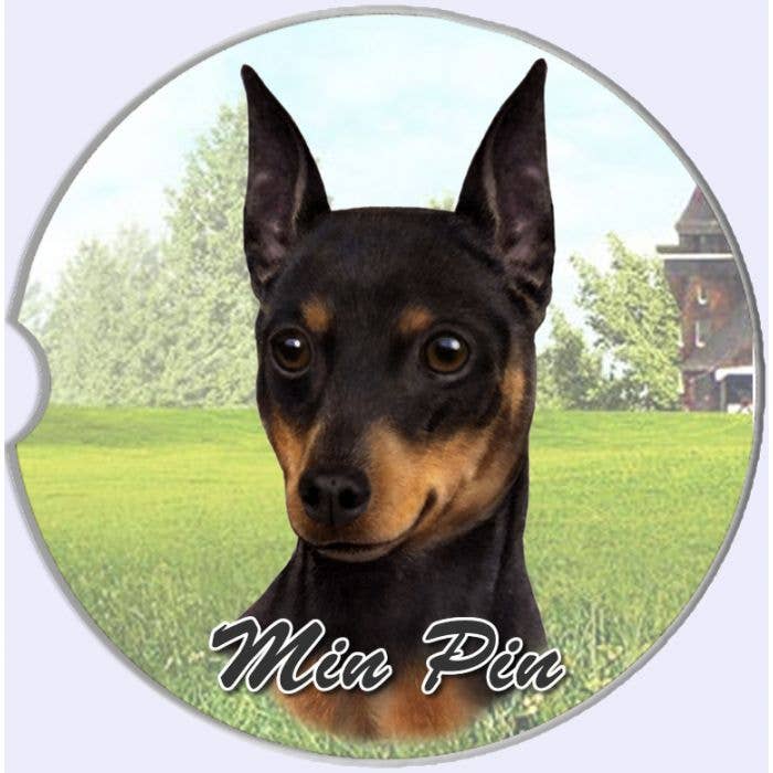 Min Pin Car Coaster